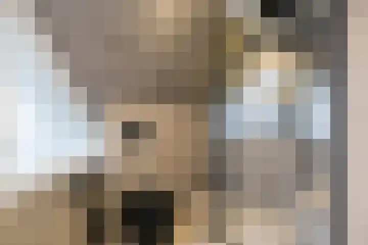 Klaterbos 10 Hoofddorp thumbnail 20