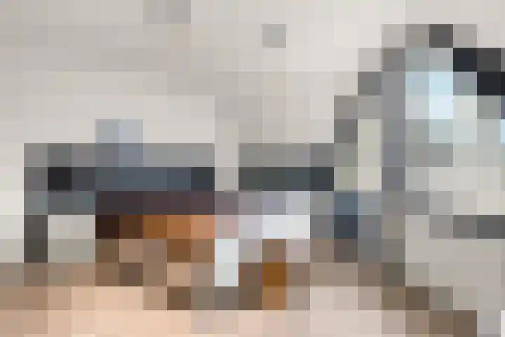Klaterbos 10 Hoofddorp thumbnail 22
