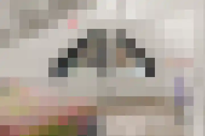 Klaterbos 10 Hoofddorp thumbnail 24