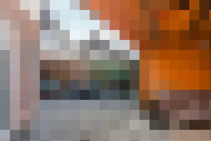 Klaterbos 10 Hoofddorp thumbnail 36