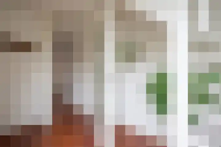 Klaterbos 108 Hoofddorp thumbnail 19