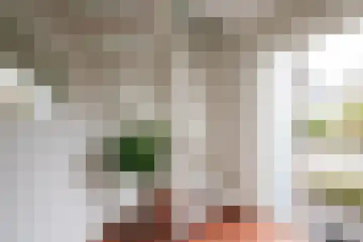 Klaterbos 108 Hoofddorp thumbnail 20