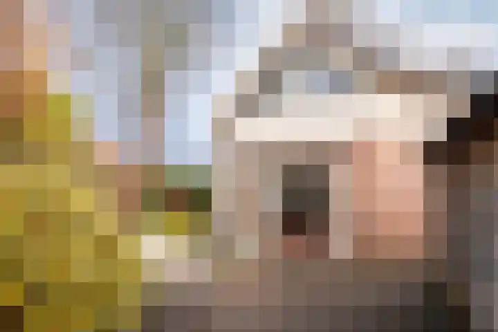 Klaterbos 108 Hoofddorp thumbnail 22