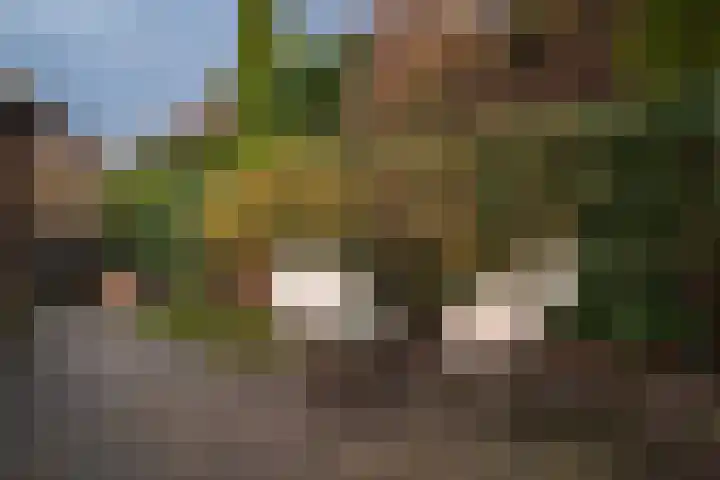 Klaterbos 108 Hoofddorp thumbnail 23