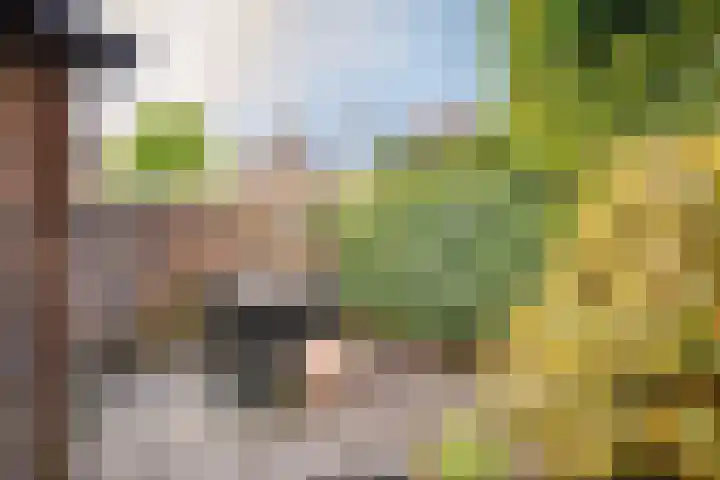 Klaterbos 108 Hoofddorp thumbnail 24