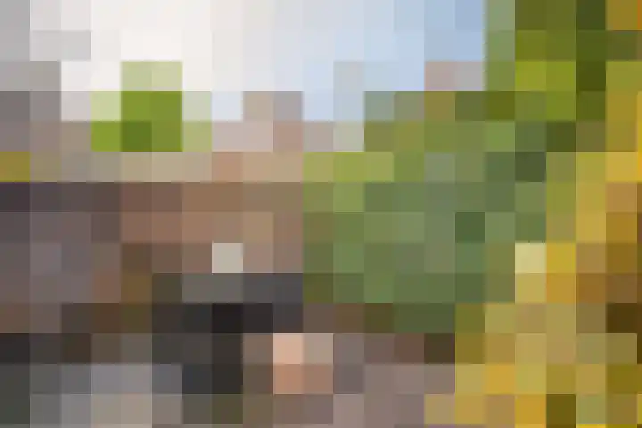 Klaterbos 108 Hoofddorp thumbnail 25