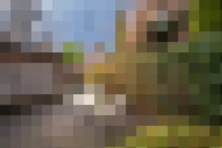 Klaterbos 108 Hoofddorp thumbnail 26
