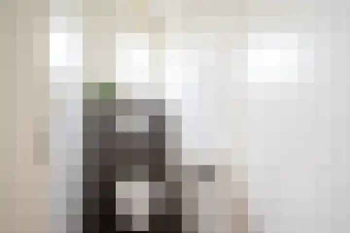 Klaterbos 108 Hoofddorp thumbnail 28