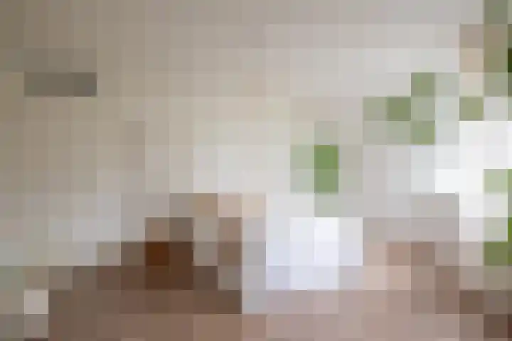 Klaterbos 108 Hoofddorp thumbnail 30