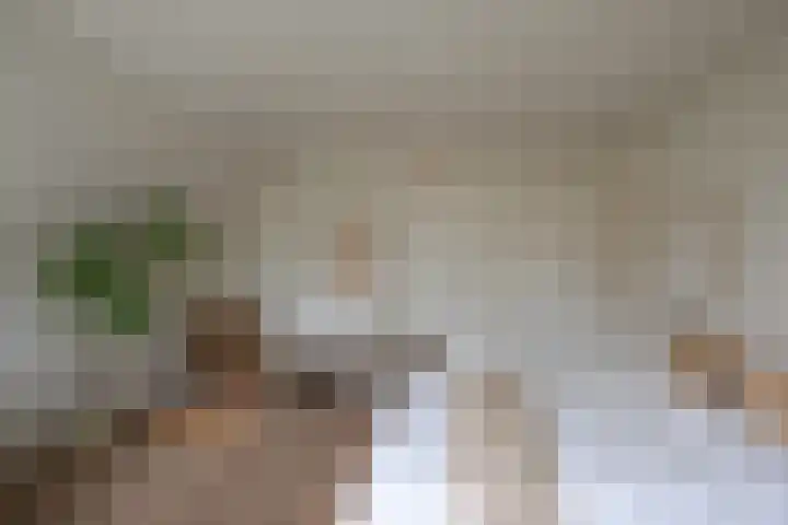 Klaterbos 108 Hoofddorp thumbnail 33