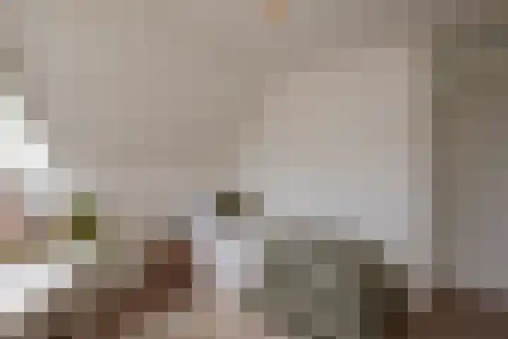 Klaterbos 108 Hoofddorp thumbnail 36