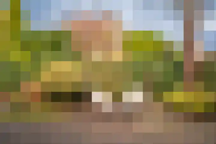 Klaterbos 108 Hoofddorp thumbnail 4
