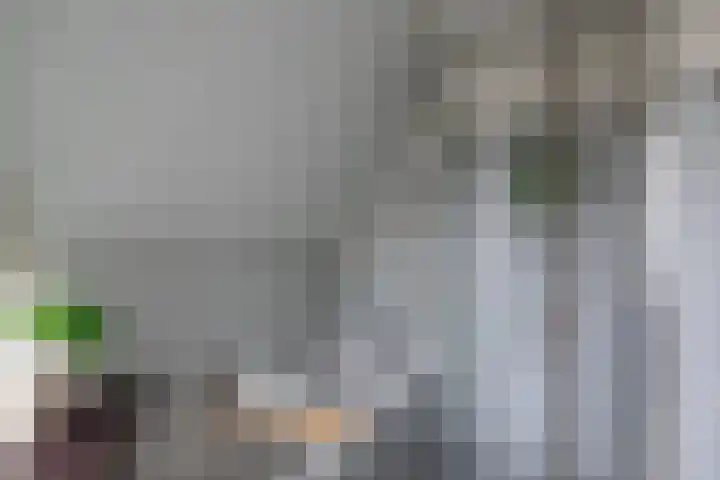 Klaterbos 108 Hoofddorp thumbnail 40