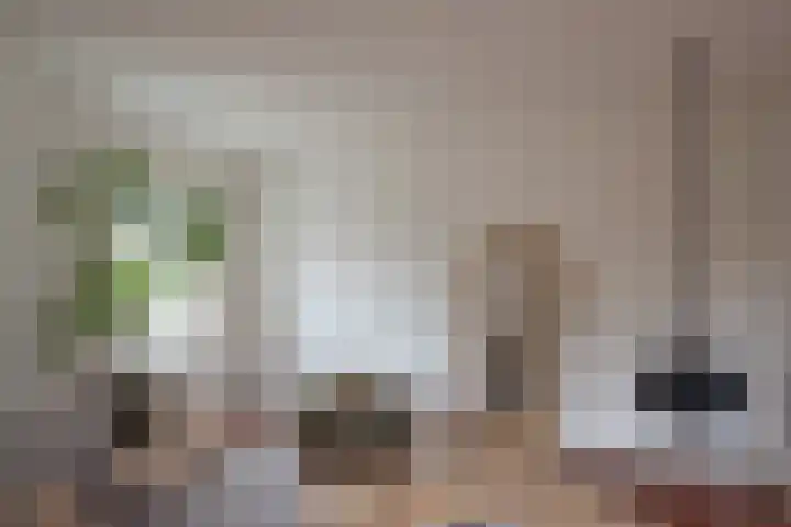 Klaterbos 108 Hoofddorp thumbnail 7