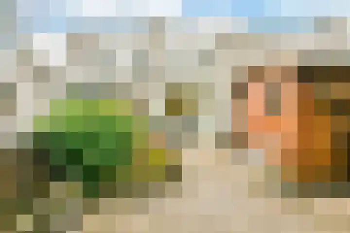 Klaterbos 123 Hoofddorp thumbnail 22