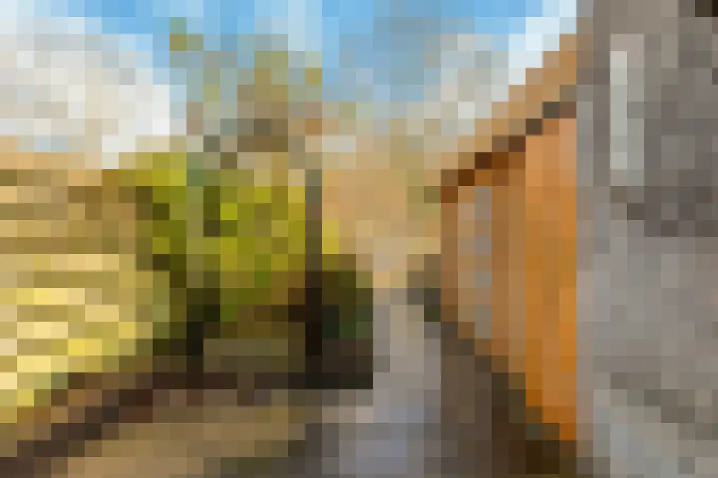 Klaterbos 125 Hoofddorp thumbnail 20