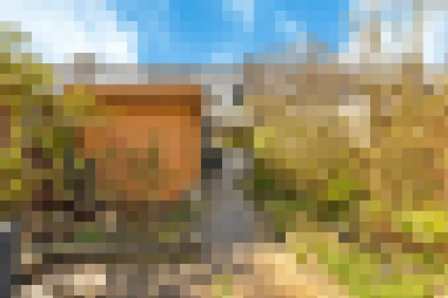 Klaterbos 125 Hoofddorp thumbnail 21