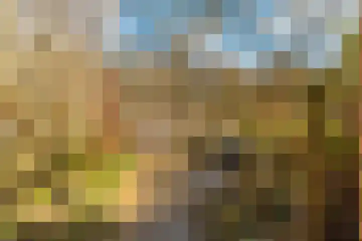 Klaterbos 125 Hoofddorp thumbnail 22