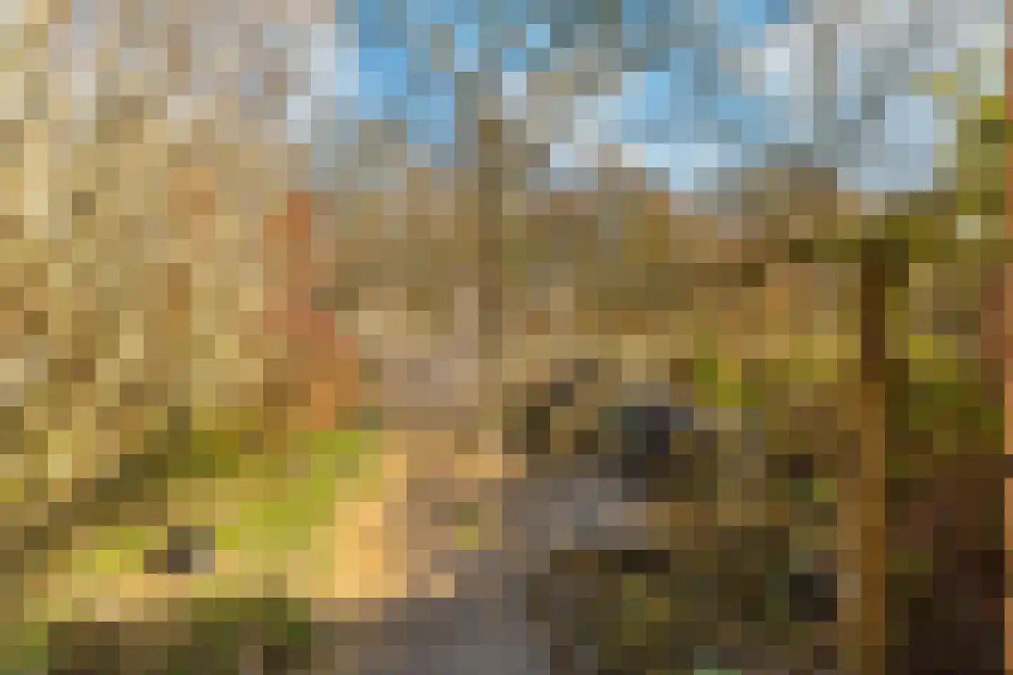 Klaterbos 125 Hoofddorp thumbnail 22