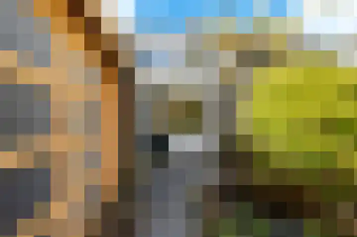 Klaterbos 125 Hoofddorp thumbnail 23