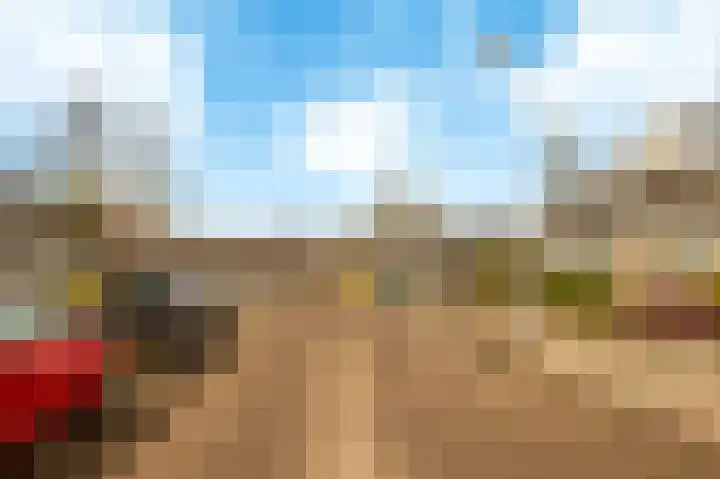 Klaterbos 125 Hoofddorp thumbnail 29