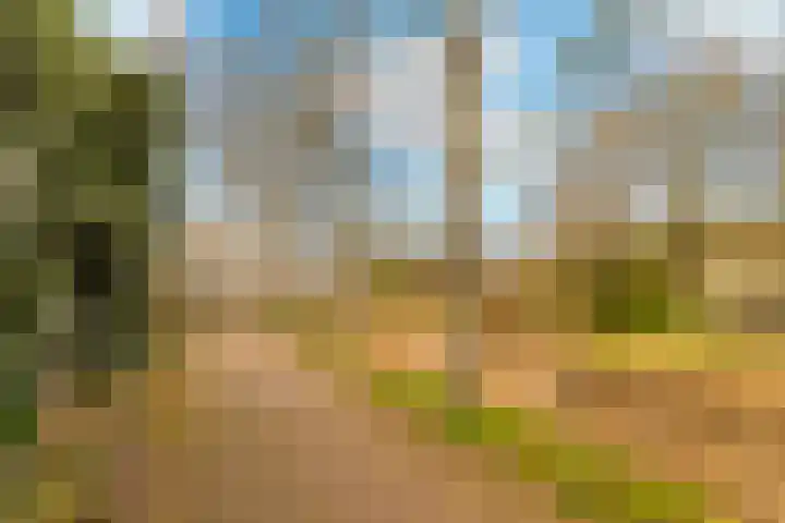 Klaterbos 125 Hoofddorp thumbnail 6