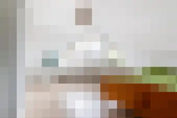 Klaterbos 16 Hoofddorp thumbnail 17