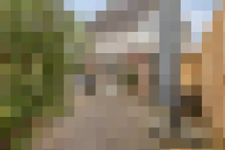 Klaterbos 26 Hoofddorp thumbnail 28