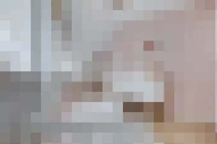 Klaterbos 44 Hoofddorp thumbnail 31