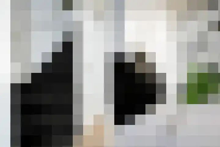 Klaterbos 44 Hoofddorp thumbnail 38