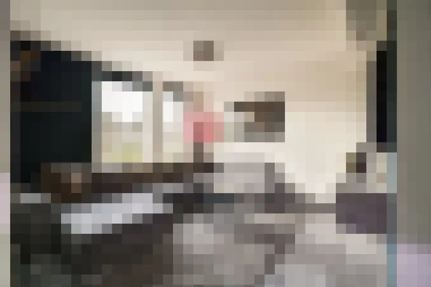 Klaterbos 89 Hoofddorp thumbnail 32