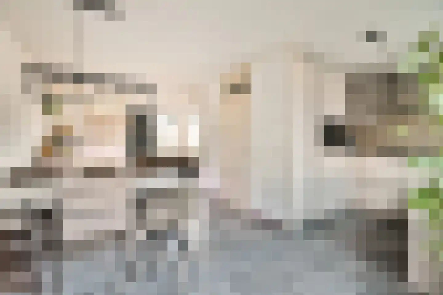 Klaterbos 89 Hoofddorp thumbnail 35