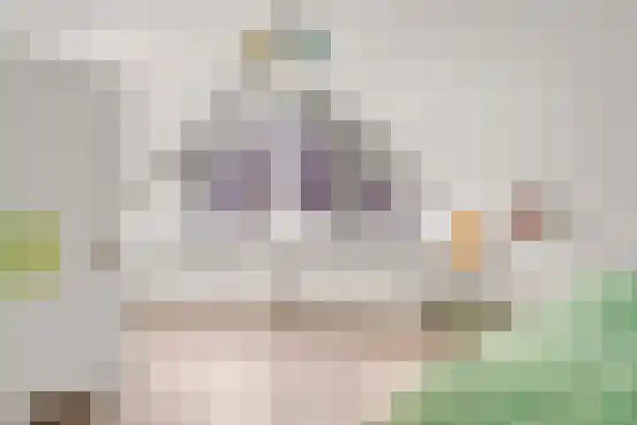 Klaterbos 96 Hoofddorp thumbnail 19