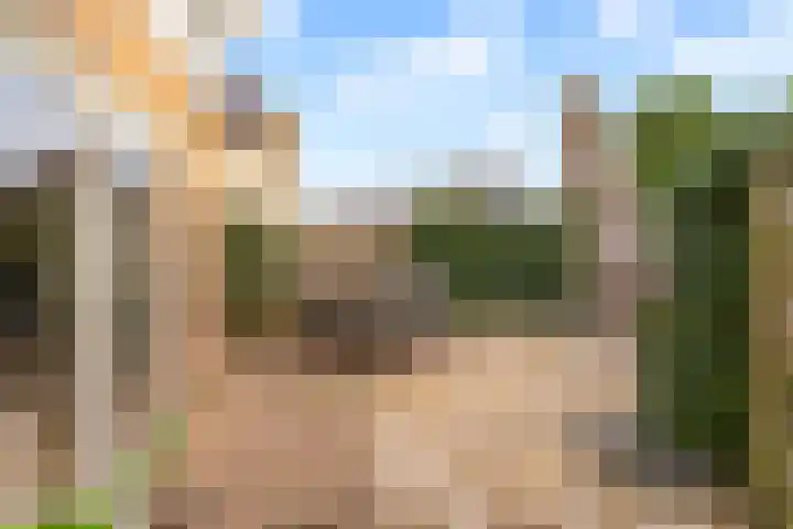 Klaterbos 96 Hoofddorp thumbnail 31