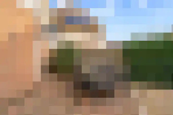 Klaterbos 96 Hoofddorp thumbnail 32