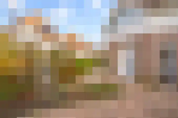 Klaterbos 96 Hoofddorp thumbnail 37