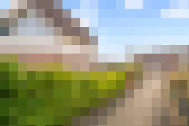 Klaterbos 96 Hoofddorp thumbnail 39