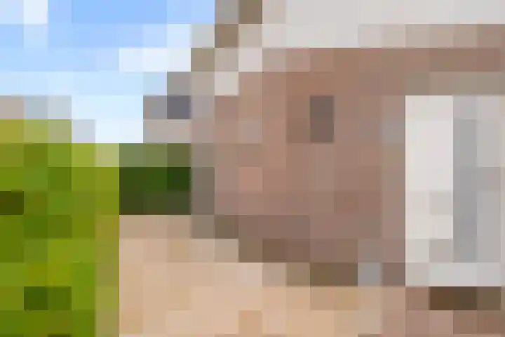 Klaterbos 96 Hoofddorp thumbnail 40