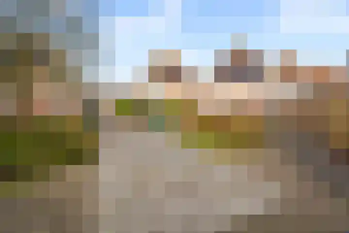 Klaterbos 96 Hoofddorp thumbnail 41