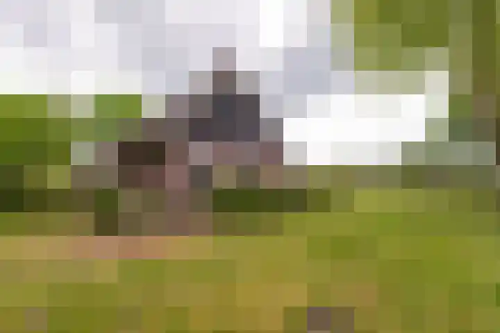 Klatering 33 Beilen thumbnail 34