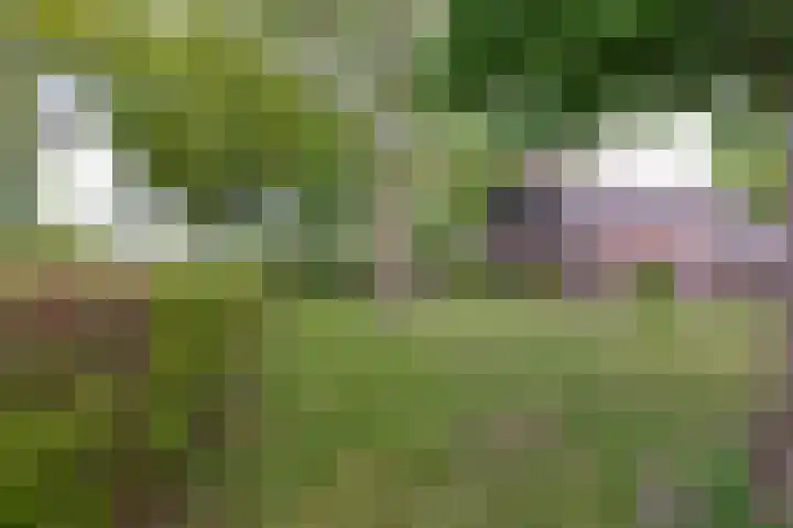 Klatering 33 Beilen thumbnail 35