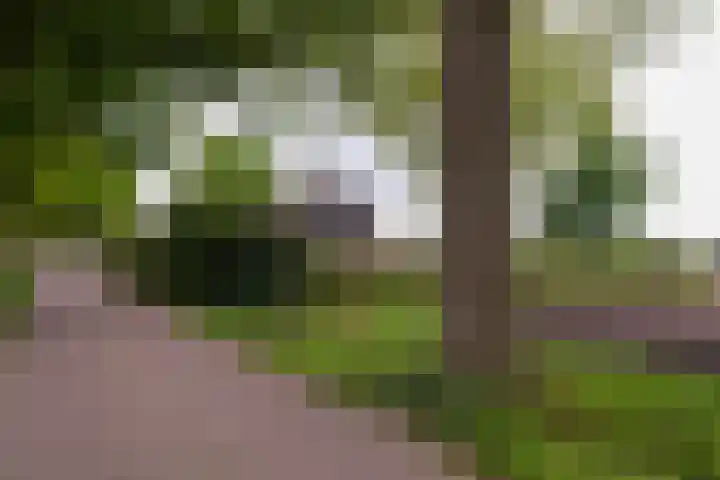 Klatering 33 Beilen thumbnail 4