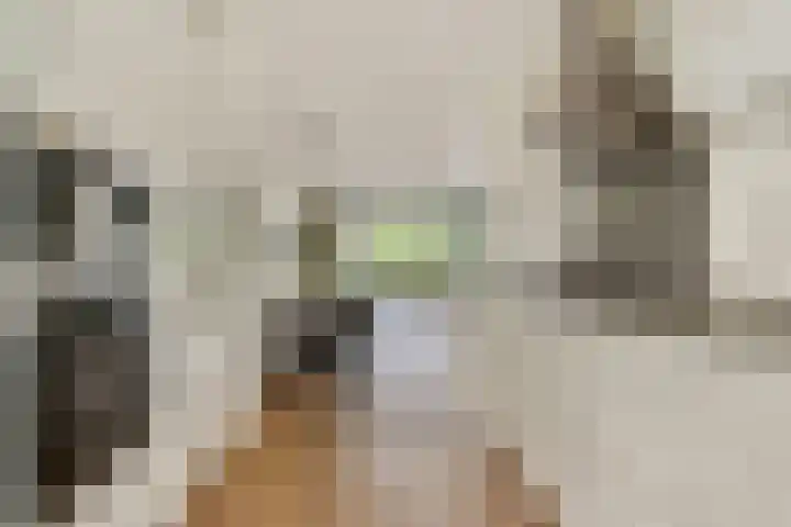 Klateringpad 4 Amsterdam thumbnail 16
