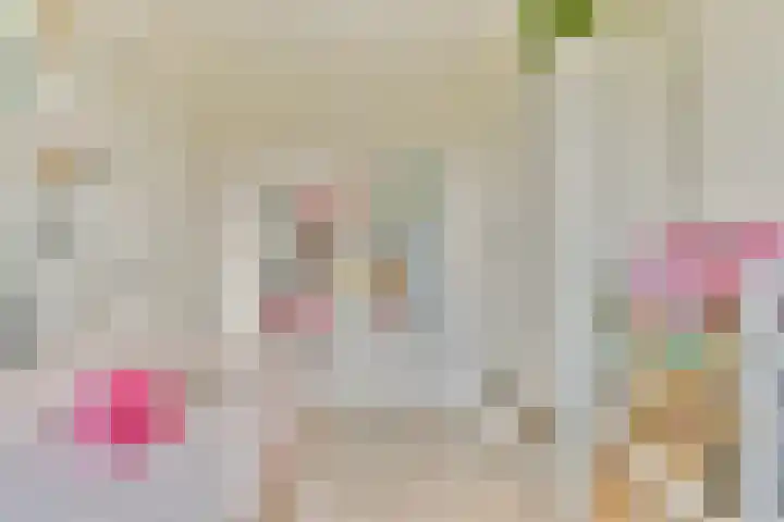 Klateringpad 4 Amsterdam thumbnail 31