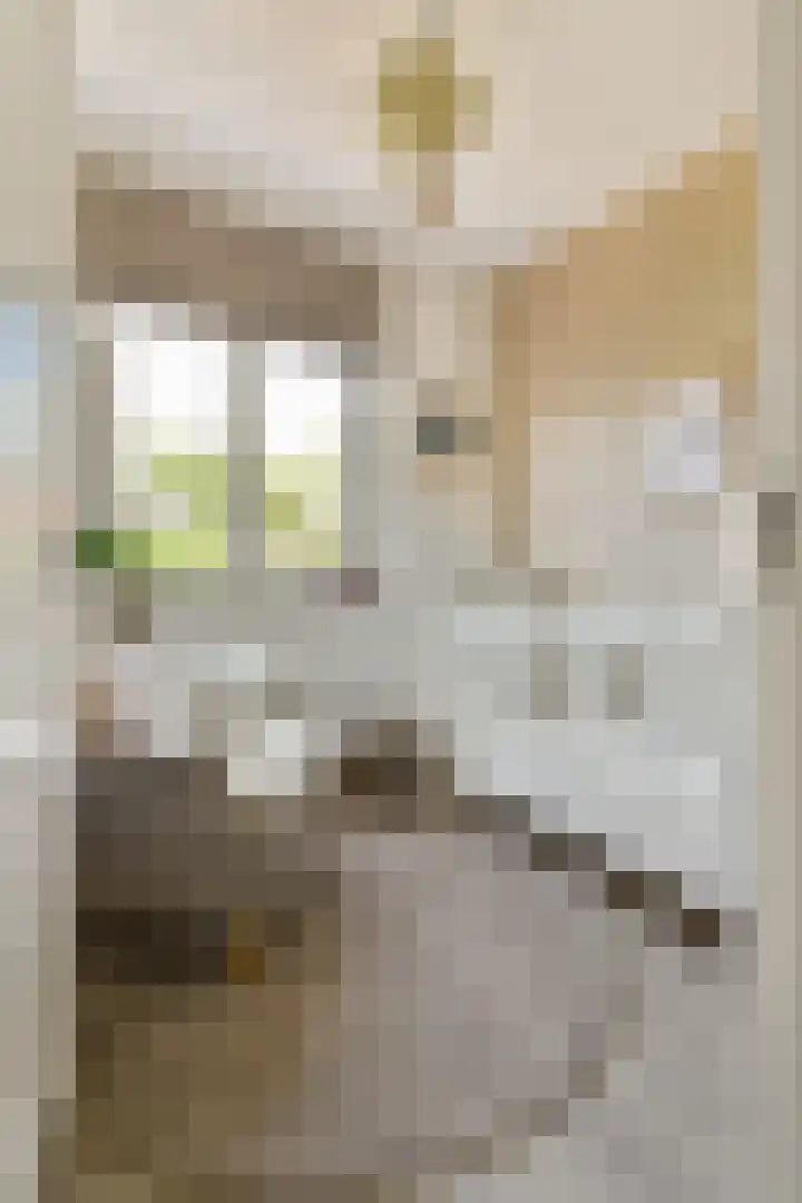 Klateringpad 4 Amsterdam thumbnail 32
