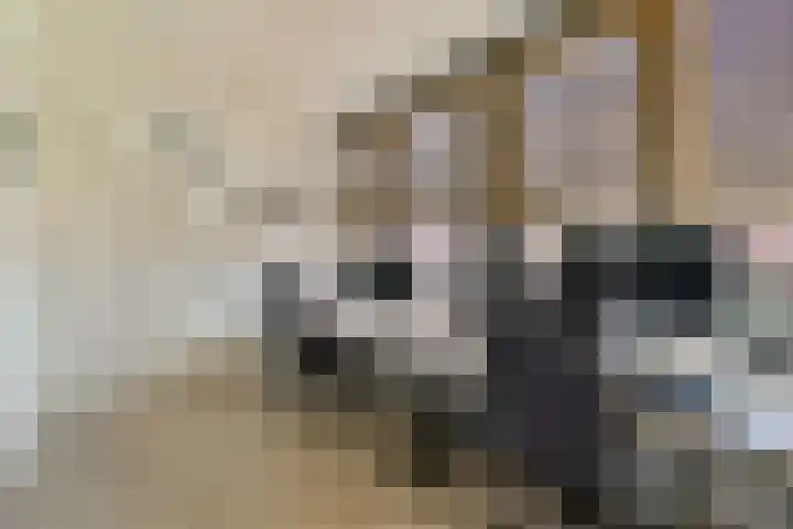 Klateringpad 4 Amsterdam thumbnail 37