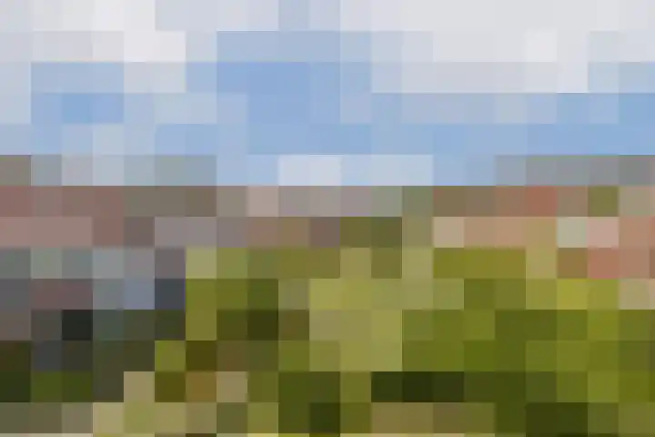 Klateringpad 4 Amsterdam thumbnail 39