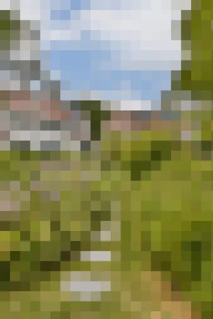 Klateringpad 4 Amsterdam thumbnail 41