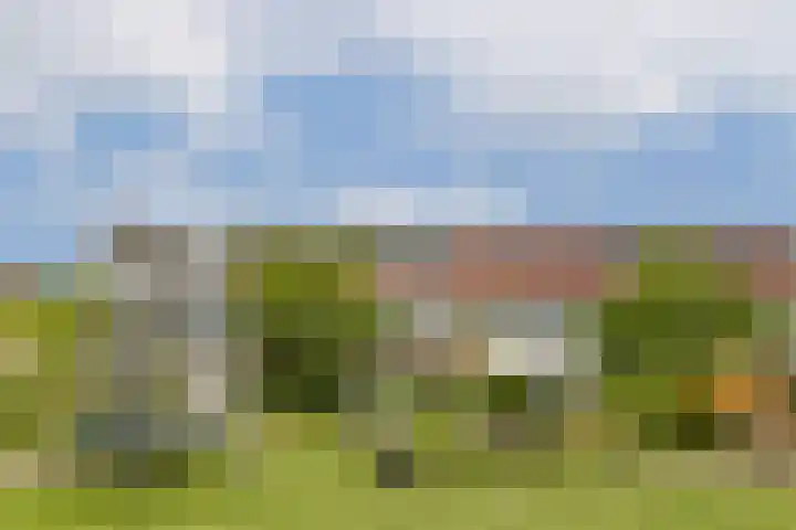 Klateringpad 4 Amsterdam thumbnail 42