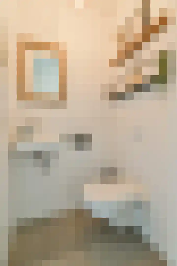 Klateringpad 4 Amsterdam thumbnail 7